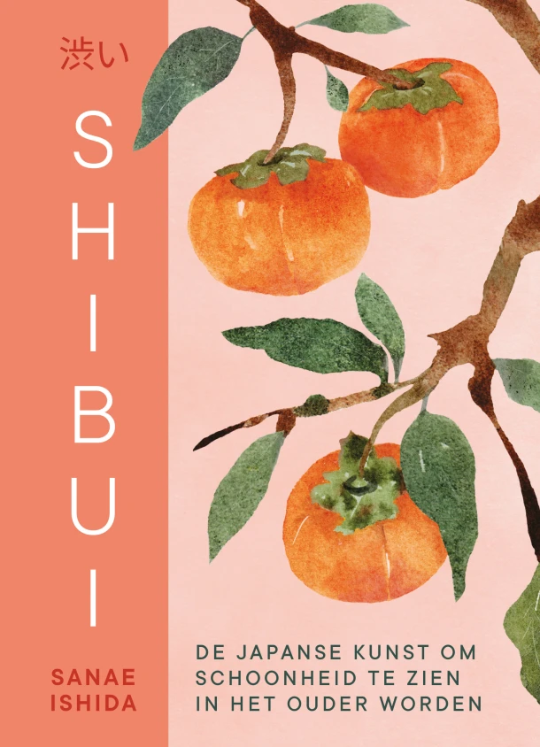 Shibui: De Japanse kunst om schoonheid te zien in het ouder worden – Sanae Ishida – boek cover