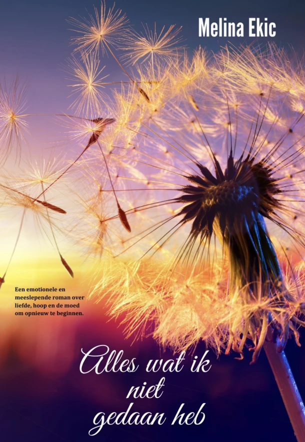 Alles wat ik niet gedaan heb – Melina Ekic – boek cover