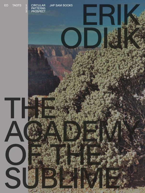 Erik Odijk. The Academy of the Sublime – Ilja Leonard Pfeijffer – boek cover