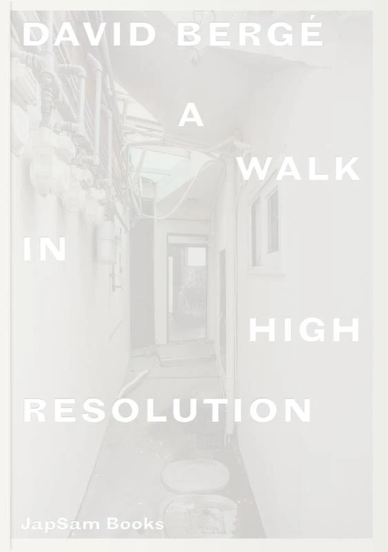 David Bergé. A Walk in High Resolution – David Bergé – boek cover