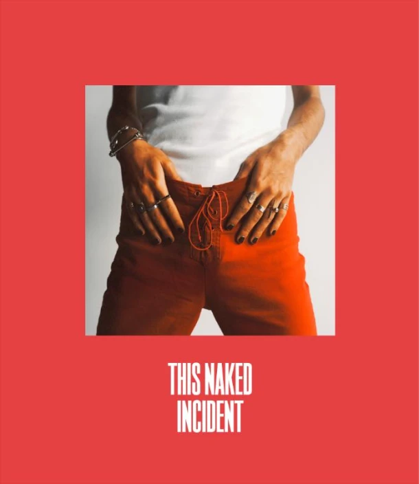 This Naked Incident – Alexander van der Heide – boek cover