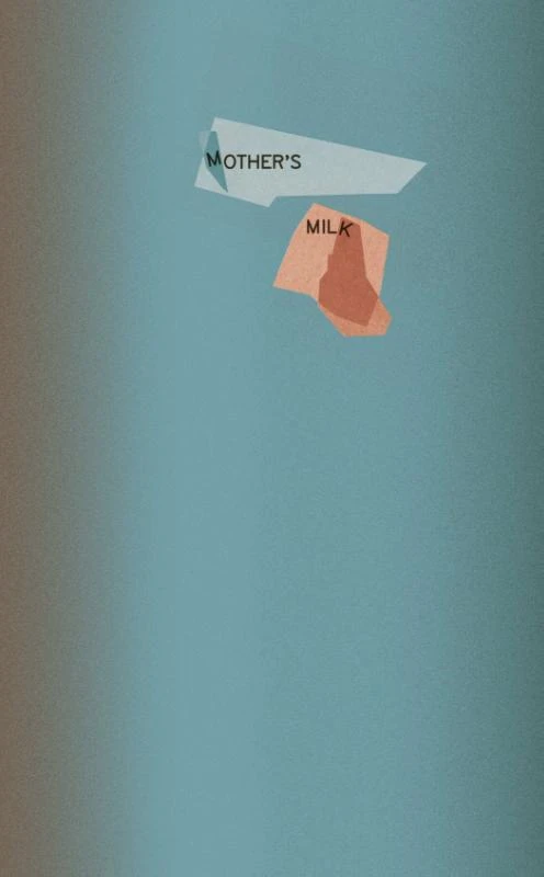 Mother‘s Milk – Marie Ilse Bourlanges – boek cover