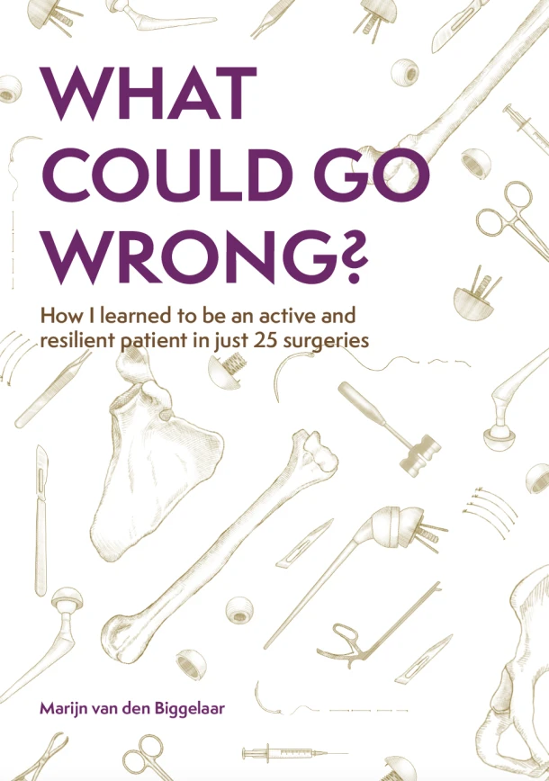 What could go wrong? – Marijn van den Biggelaar – boek cover