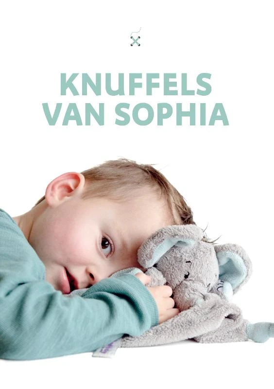 Knuffels van Sophia – Joke Ligterink – boek cover
