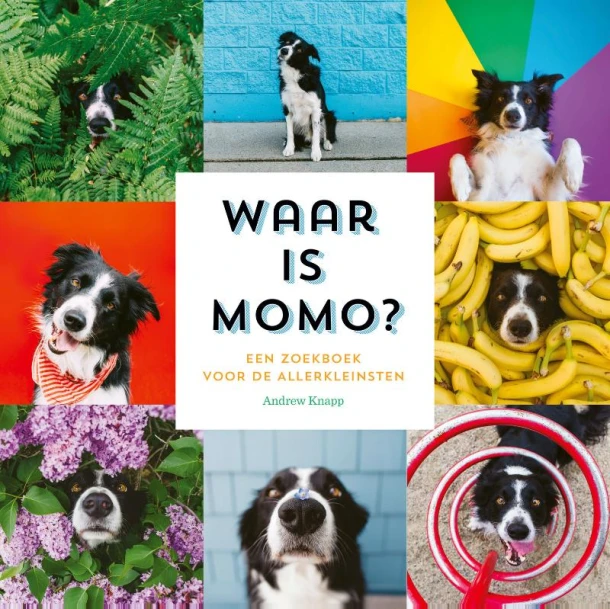 Waar is Momo? – Andrew Knapp – boek cover