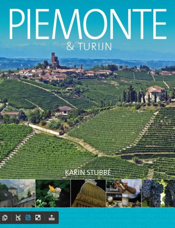 Piemonte & Turijn – Karin Stubbé – boek cover