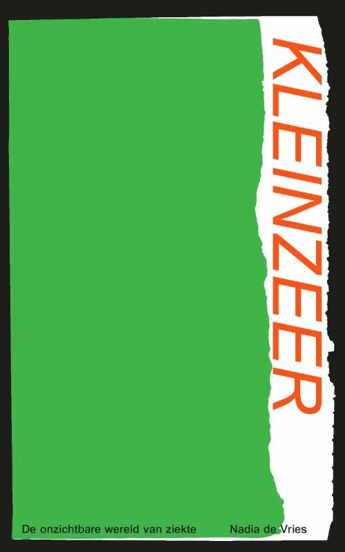 Kleinzeer – Nadia de Vries – boek cover