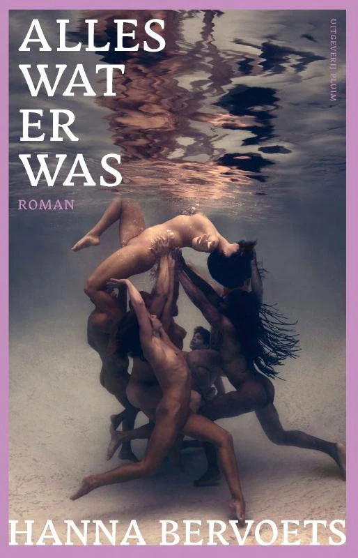 Alles wat er was – Hanna Bervoets – boek cover