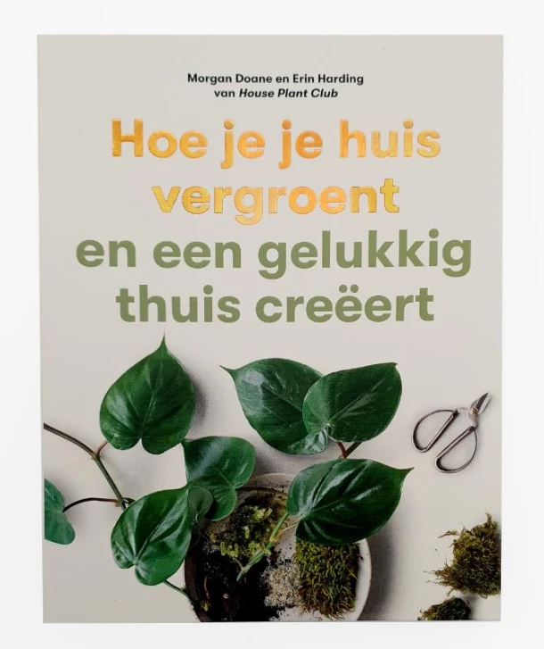 Hoe je je huis vergroent