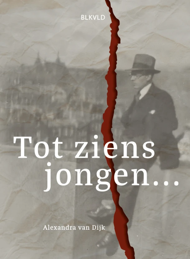 Tot ziens jongen... – Alexandra van Dijk – boek cover