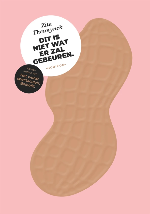 Dit is niet wat er zal gebeuren. – Zita Theunynck – boek cover