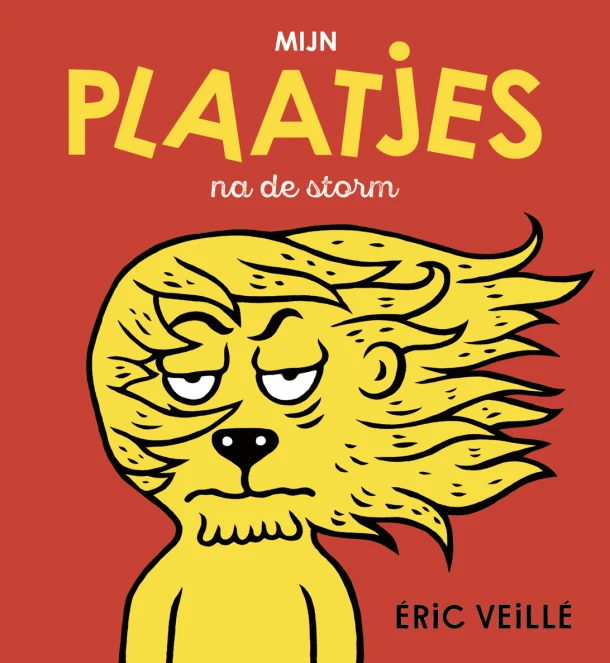 Mijn plaatjes na de storm – Eric Veille – boek cover