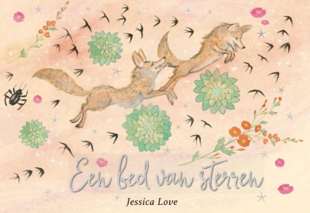 Een bed van sterren – Jessica Love – boek cover