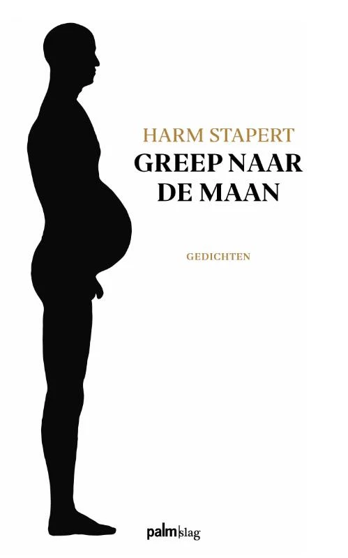 Greep naar de maan – Harm Stapert – boek cover