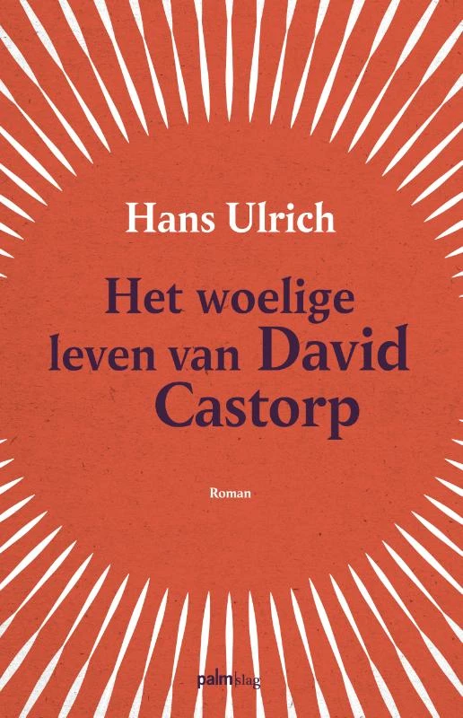 Het woelige leven van David Castorp – Hans Ulrich – boek cover