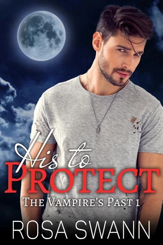 His to Protect – Rosa Swann – boek cover