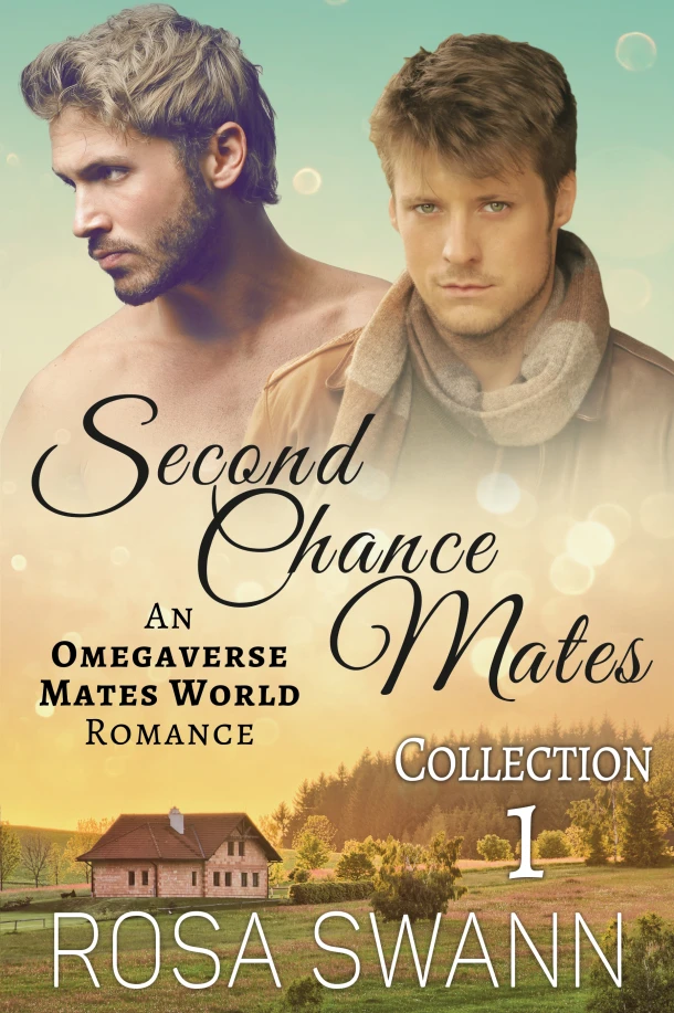 Second Chance Mates Collection 1 – Rosa Swann – boek cover