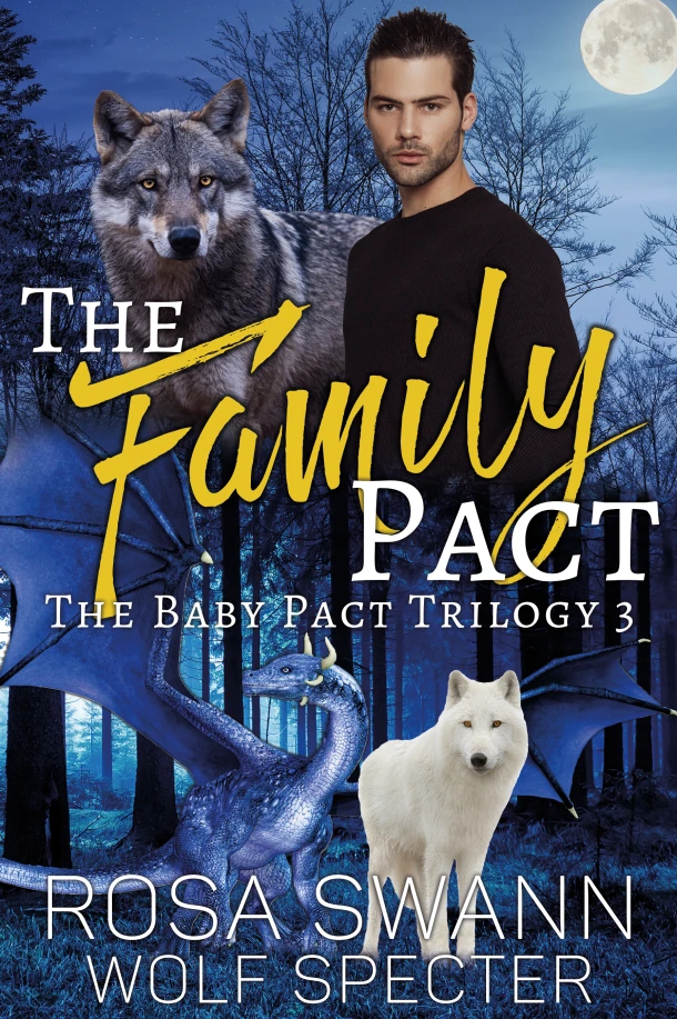 The Family Pact – Rosa Swann – boek cover