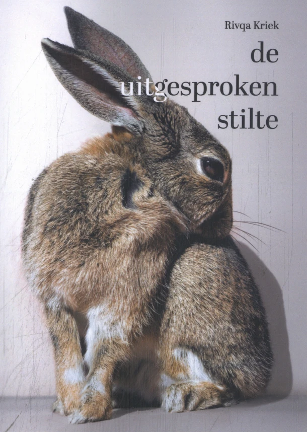 De uitgesproken stilte – Rivqa Kriek – boek cover