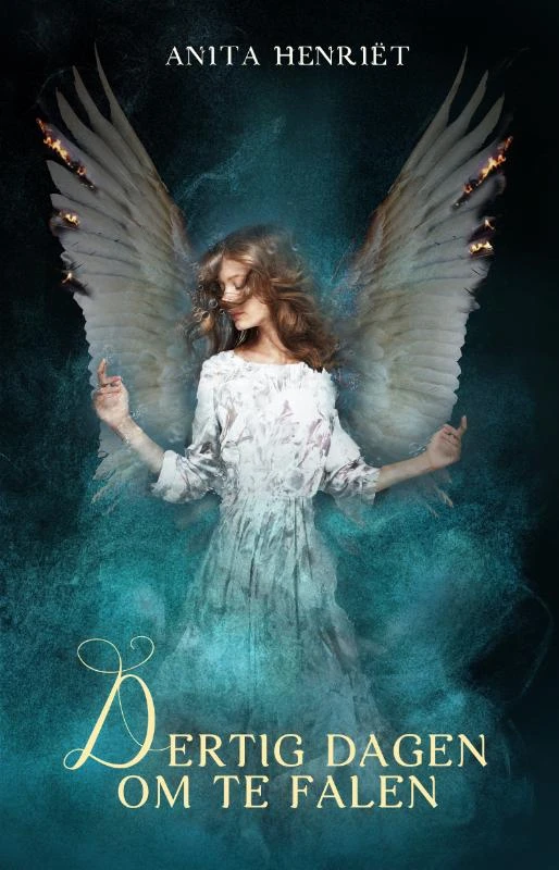 Dertig dagen om te falen – Anita Henriët – boek cover