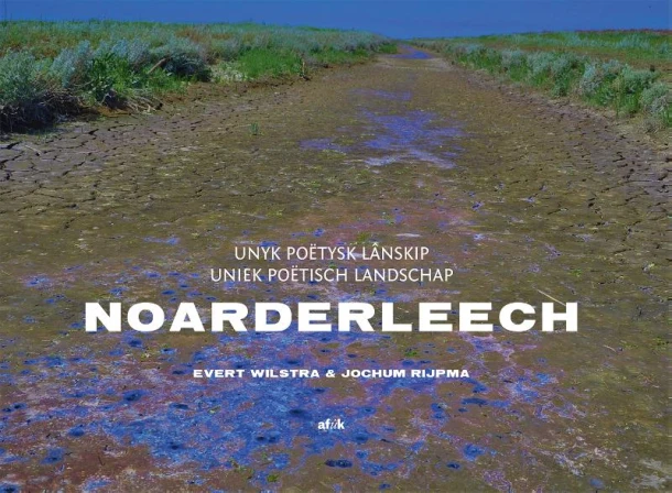 Noarderleech – Jochum Rijpma – boek cover