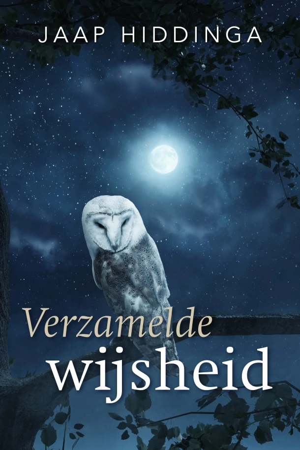 Verzamelde wijsheid – Jaap Hiddinga – boek cover