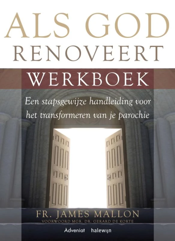 Als God renoveert – James Mallon – boek cover