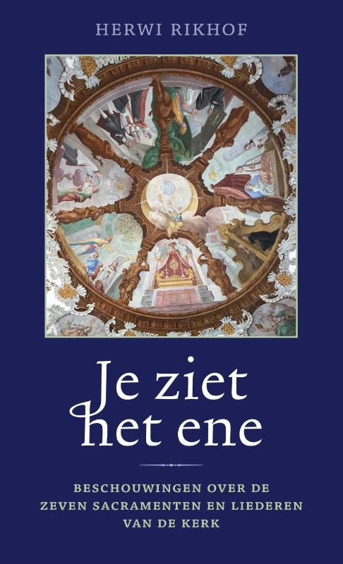 Je ziet het ene – Herwi Rikhof – boek cover