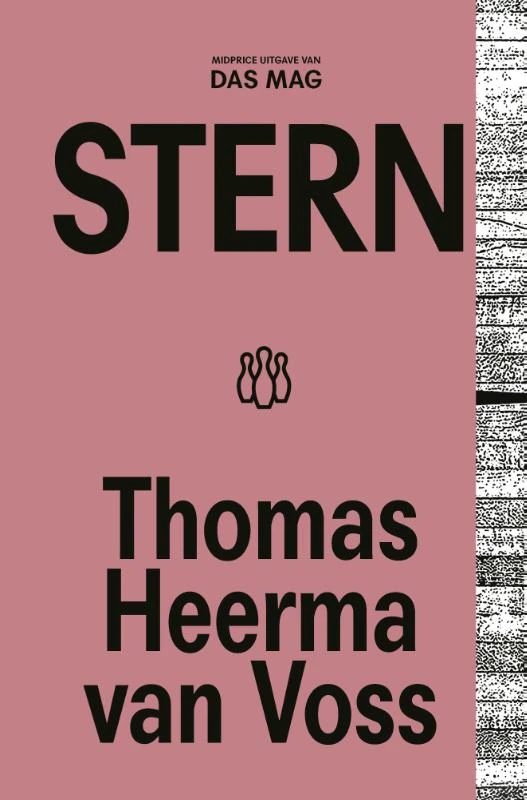 Stern – Thomas Heerma van Voss – boek cover