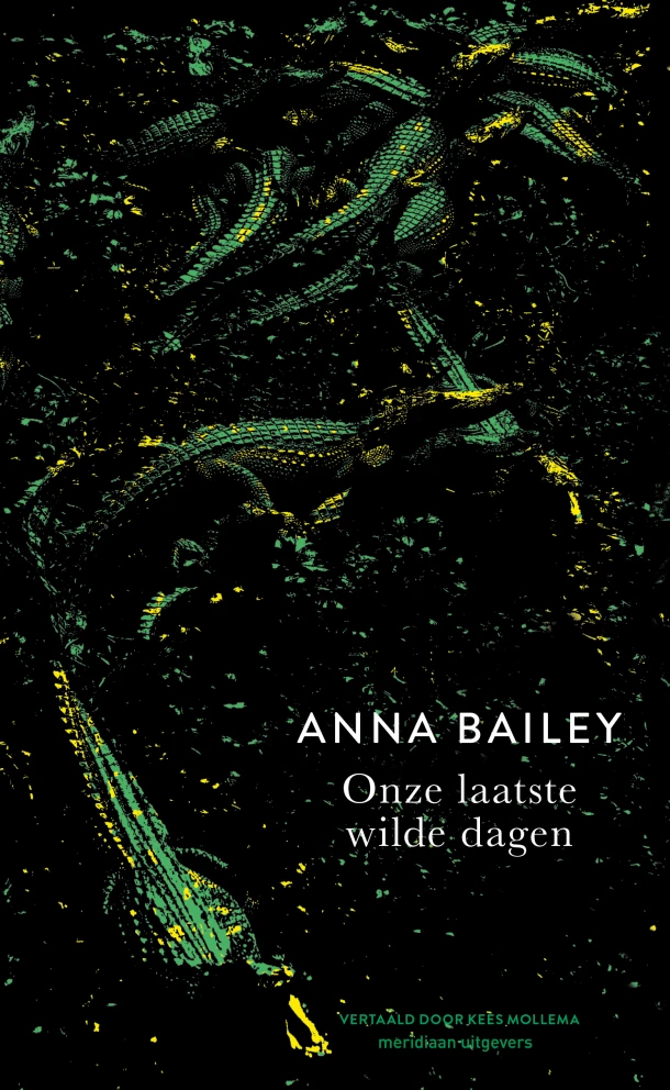 Onze laatste wilde dagen – Anna Bailey – boek cover