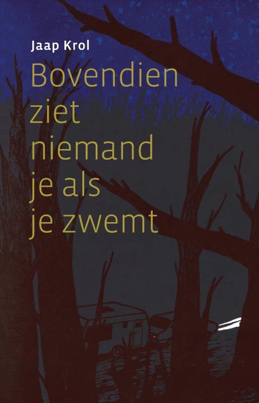 Bovendien ziet niemand je als je zwemt – Jaap Krol – boek cover