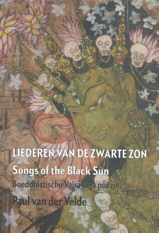 Liederen van de zwarte zon – Paul van der Velde – boek cover