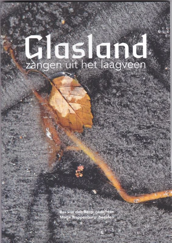 Glasland ā Bas van den Berg ā boek cover