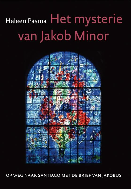 Het mysterie van Jacob Minor – Heleen Pasma – boek cover