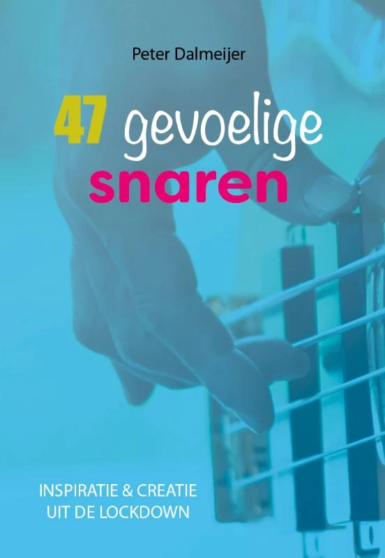 47 gevoelige snaren – Peter Dalmeijer – boek cover