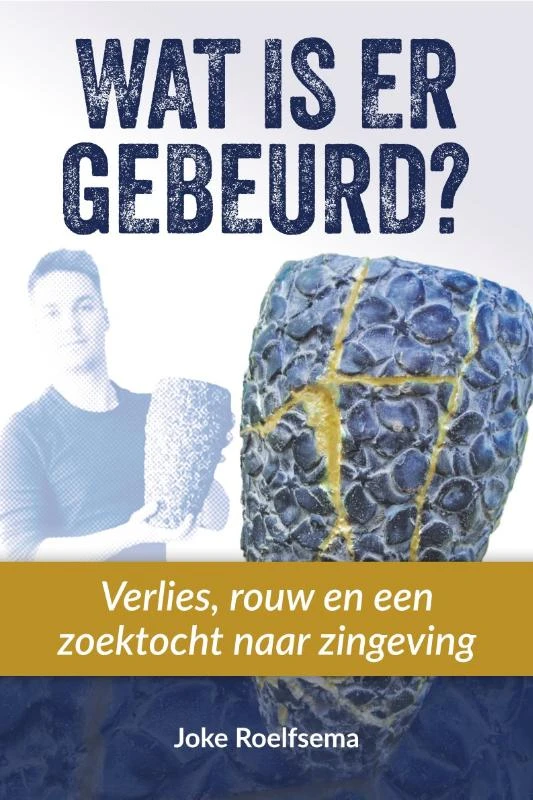 Wat is er gebeurd? – Joke Roelfsema – boek cover
