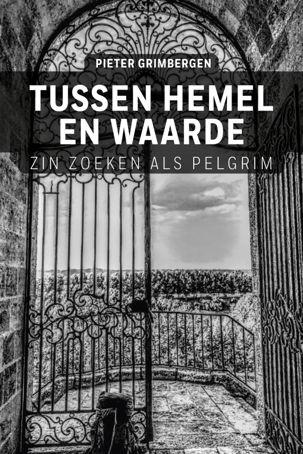 Tussen hemel en waarde – Pieter Grimbergen – boek cover