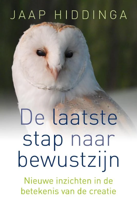 Laatste stap naar bewustzijn – Jaap Hiddinga – boek cover