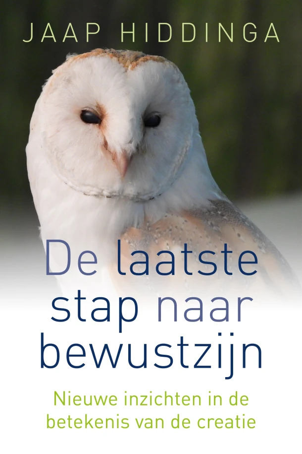 Laatste stap naar bewustzijn – Jaap Hiddinga – boek cover