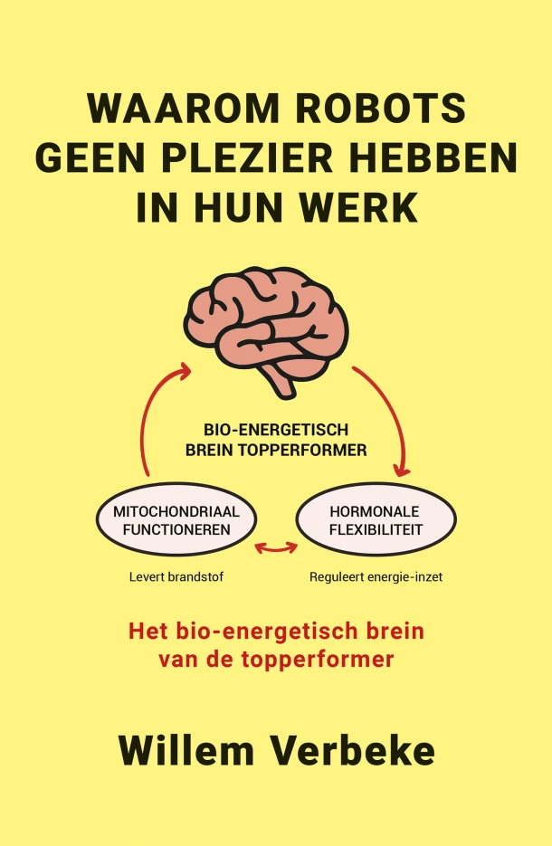 Waarom robots geen plezier hebben in hun werk – Willem Verbeke – boek cover