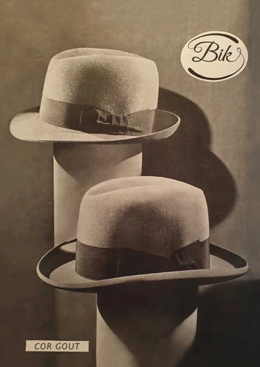 Bik – Cor Gout – boek cover