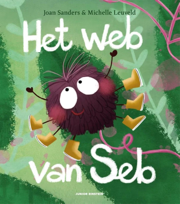 Het web van Seb – Joan Sanders – boek cover
