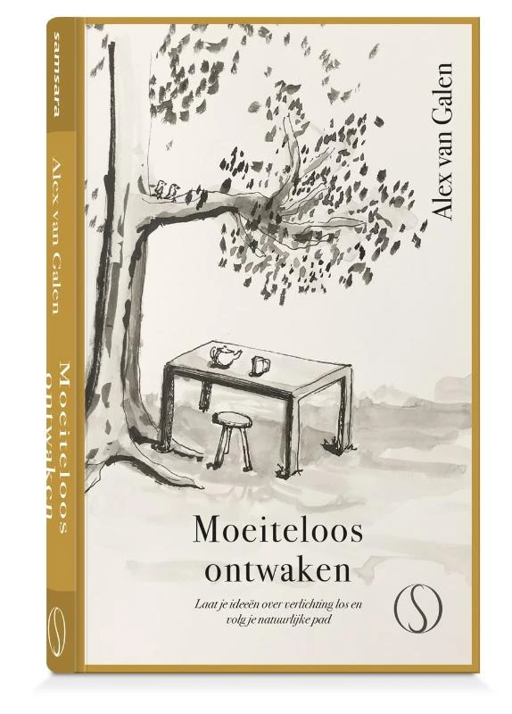 Moeiteloos ontwaken – Alex van Galen – boek cover