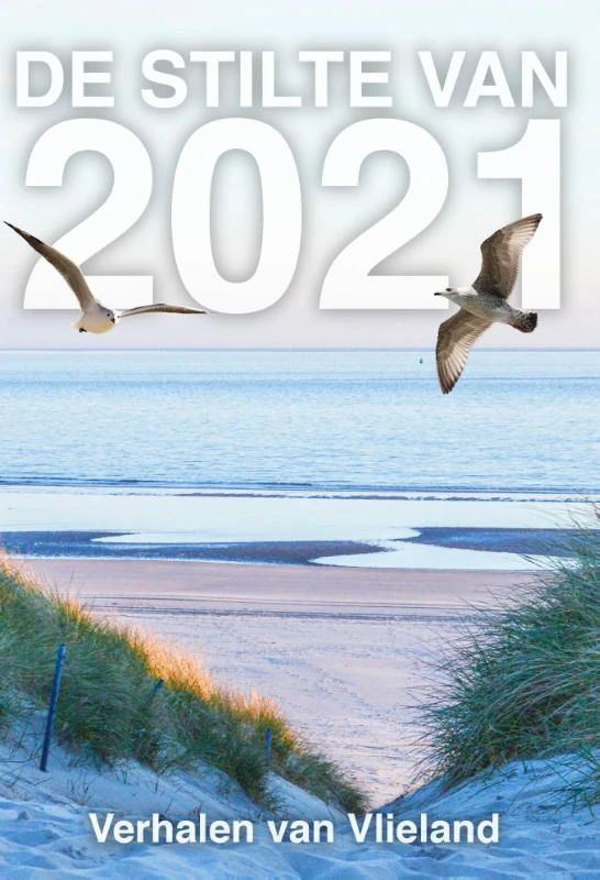 De stilte van 2021 – Elly Godijn – boek cover