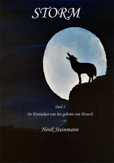 Storm – Henk Steinmann – boek cover