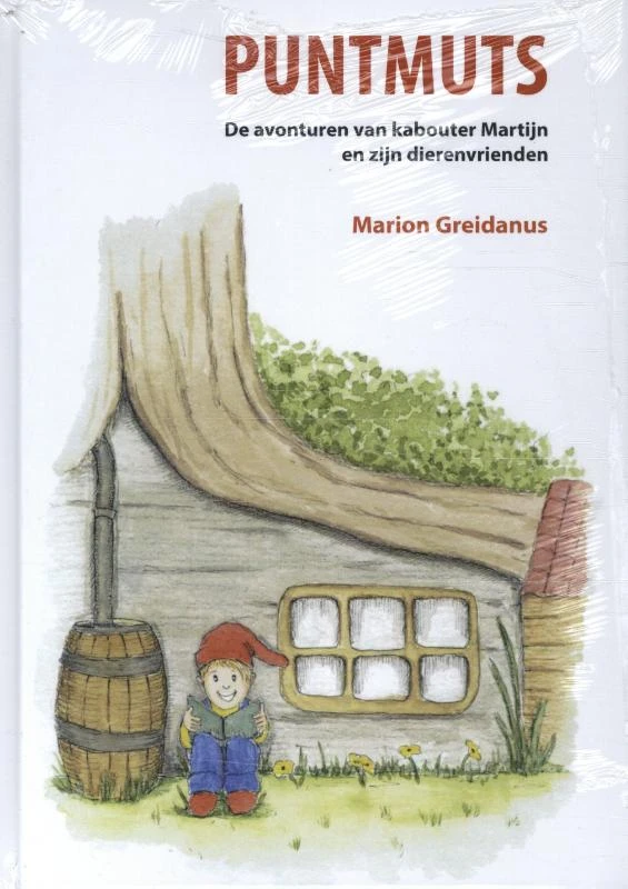 Puntmuts – Marion Greidanus – boek cover