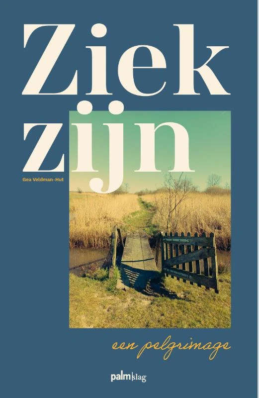 Ziek zijn, een pelgrimage – Gea Veldman – boek cover