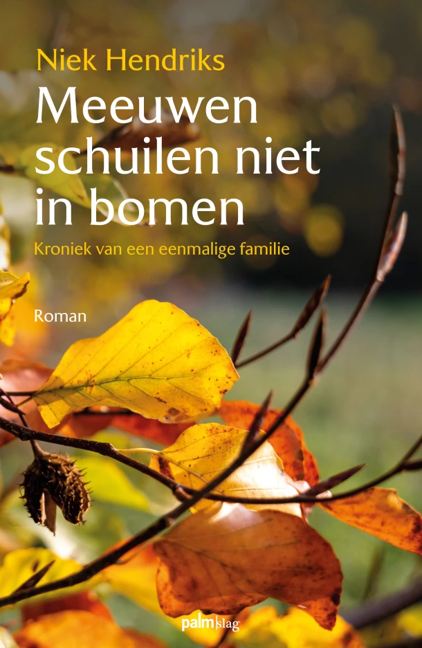 Meeuwen schuilen niet in bomen – Niek Hendriks – boek cover