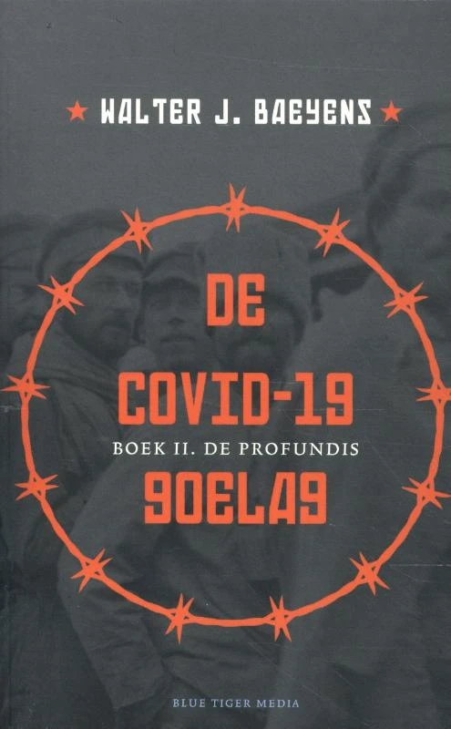 II De profundis – Walter Baeyens – boek cover