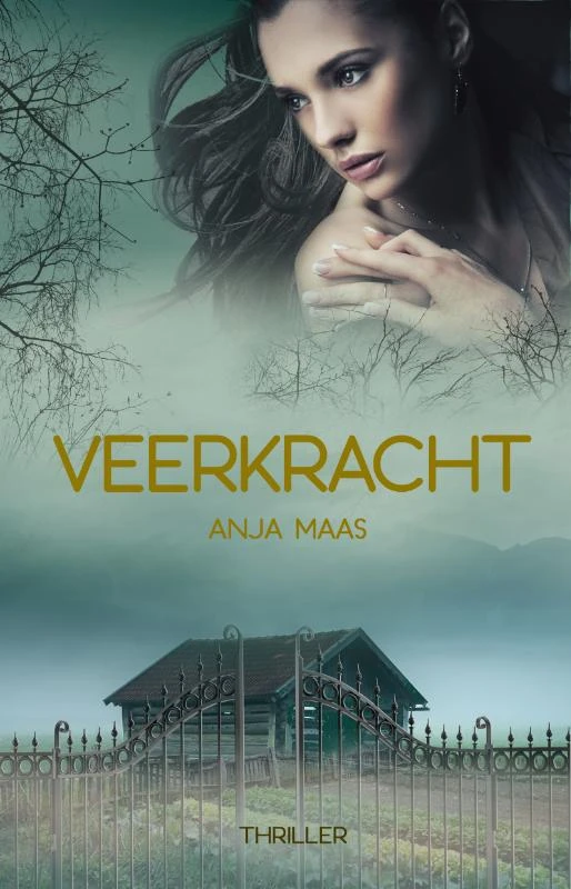 Veerkracht – Anja Maas – boek cover